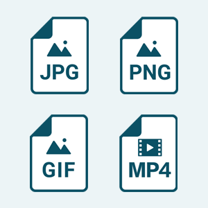 広告運用者も覚えておきたい「画像・動画ファイル形式」について〜JPG・PNG・GIF・MP4何が違うの？〜
