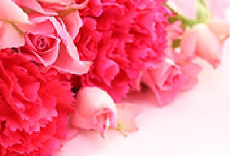 サンクスフラワー